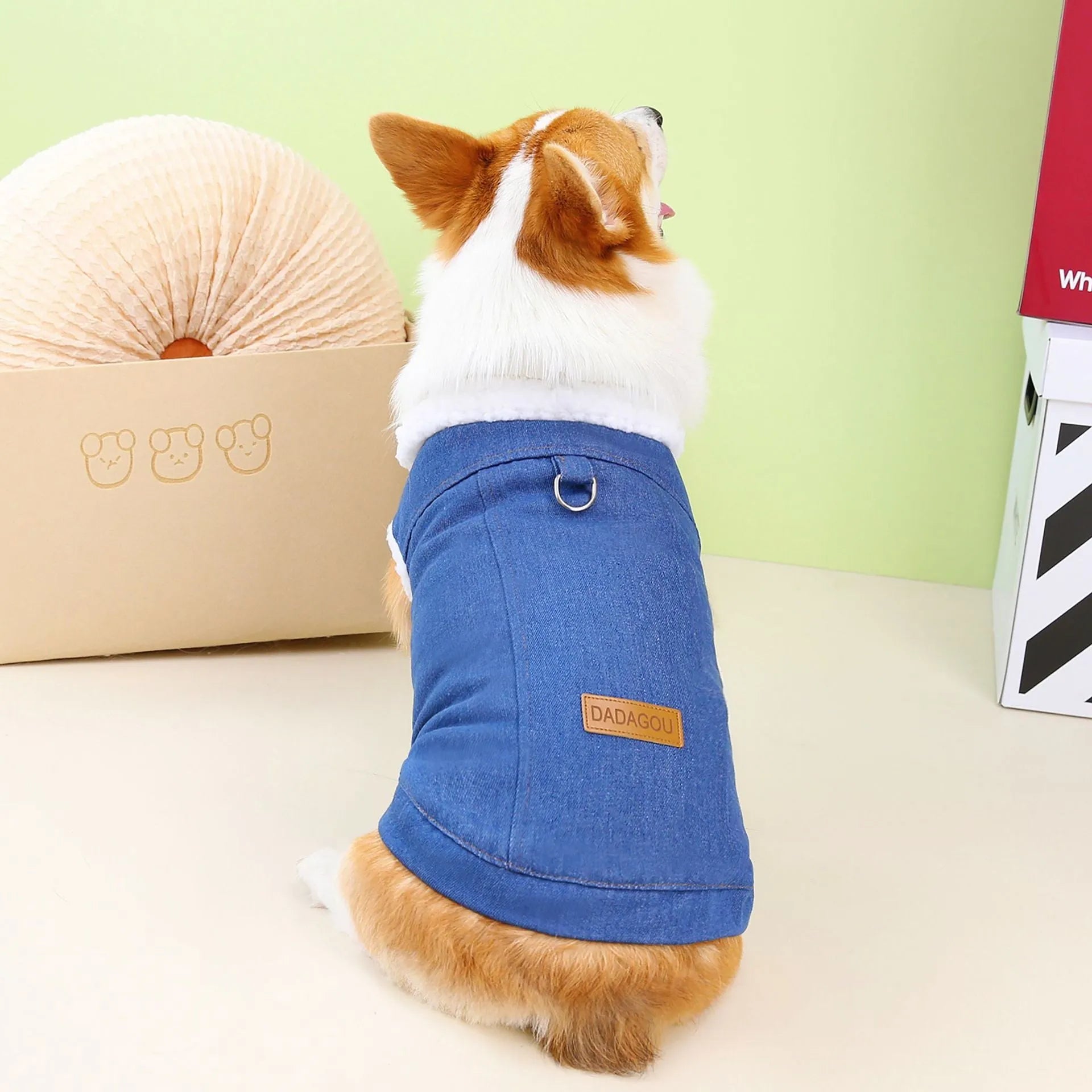 A dark blue denim cotton coat for a Welsh Corgi dog, shown in size L.