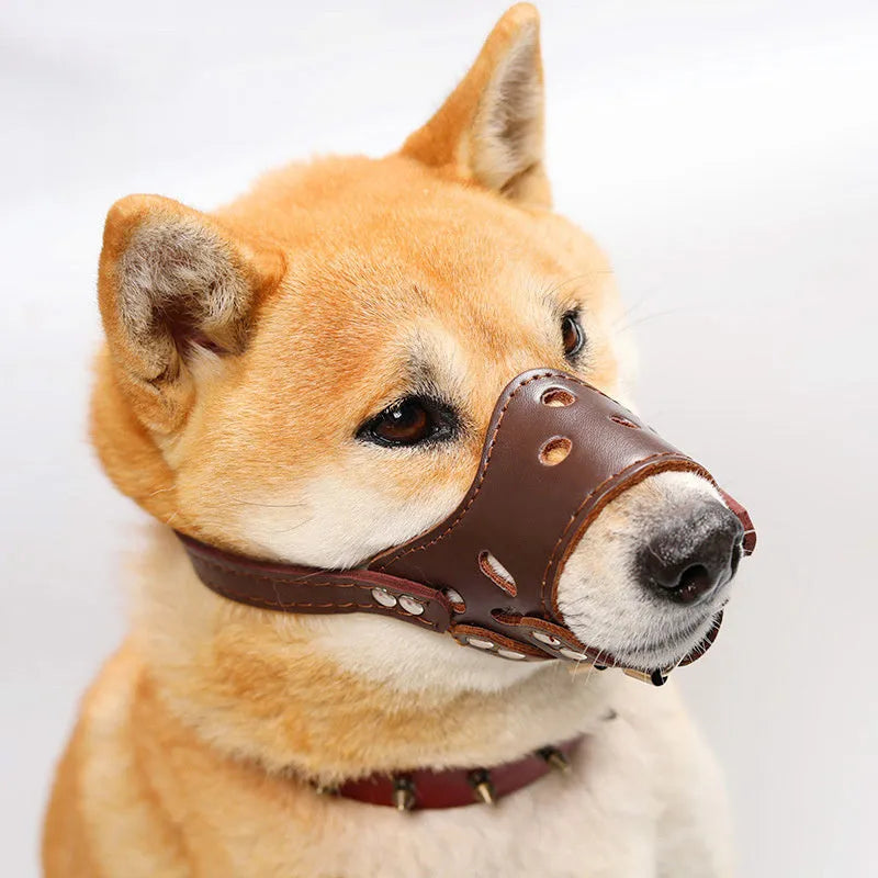 Black or brown dog muzzle silencer for anti-barking and bite prevention with size chart
