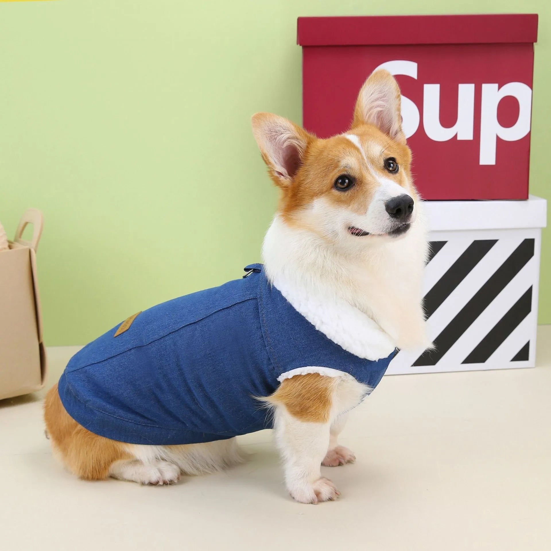 A dark blue denim cotton coat for a Welsh Corgi dog, shown in size L.
