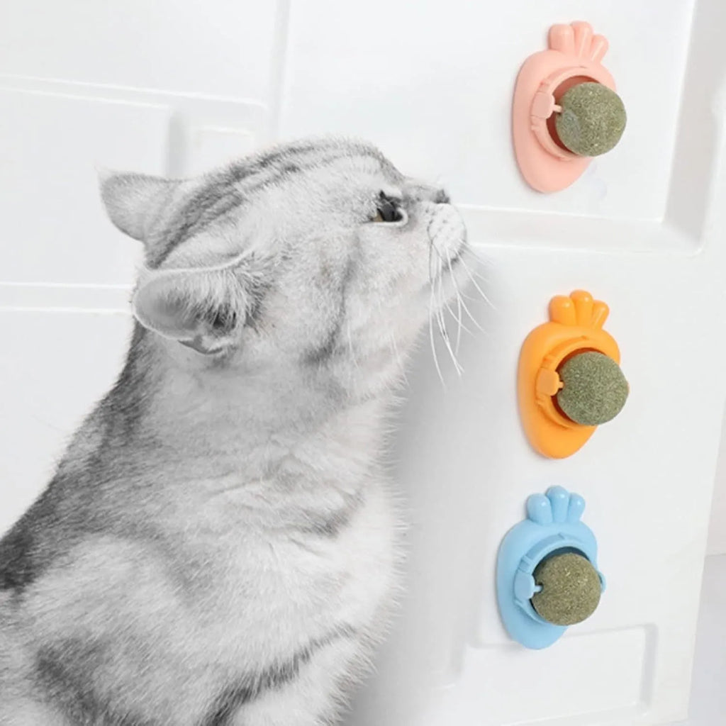 Blue carrot-shaped self-adhesive catnip ball toy for wall mounting and cat teeth cleaning.