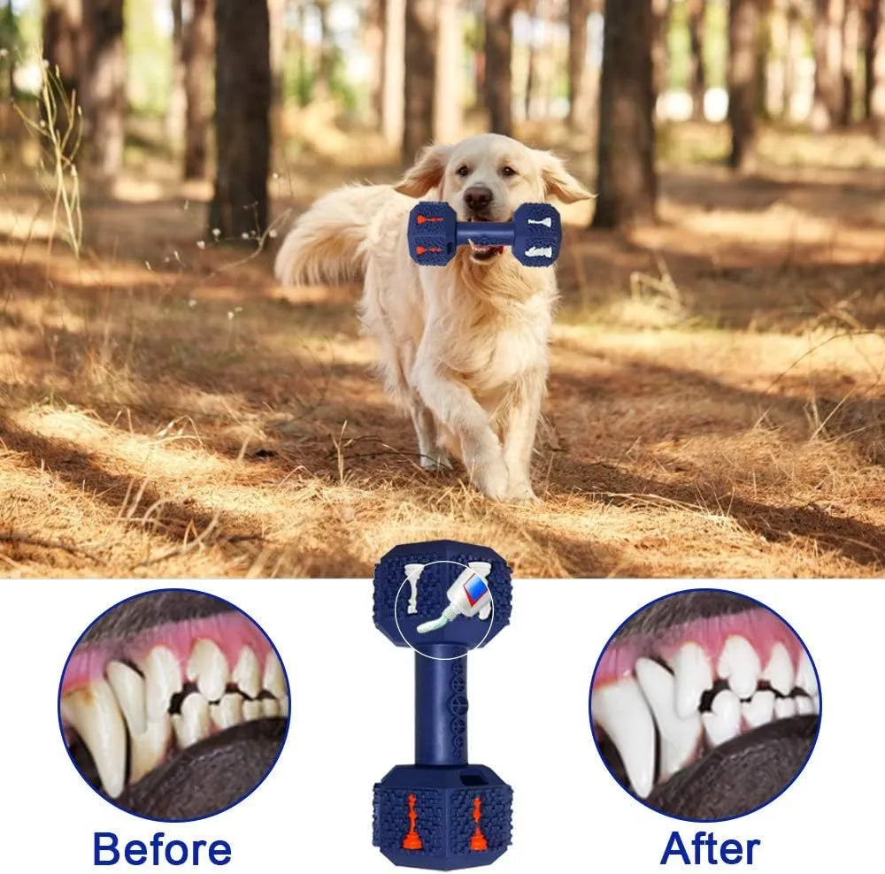 Durable rubber dumbbell dog chew toy with hollow ends for treats and textured cleaning surface