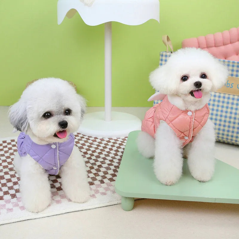 Small dog wearing pink polyester skirt with casual design and thickened construction