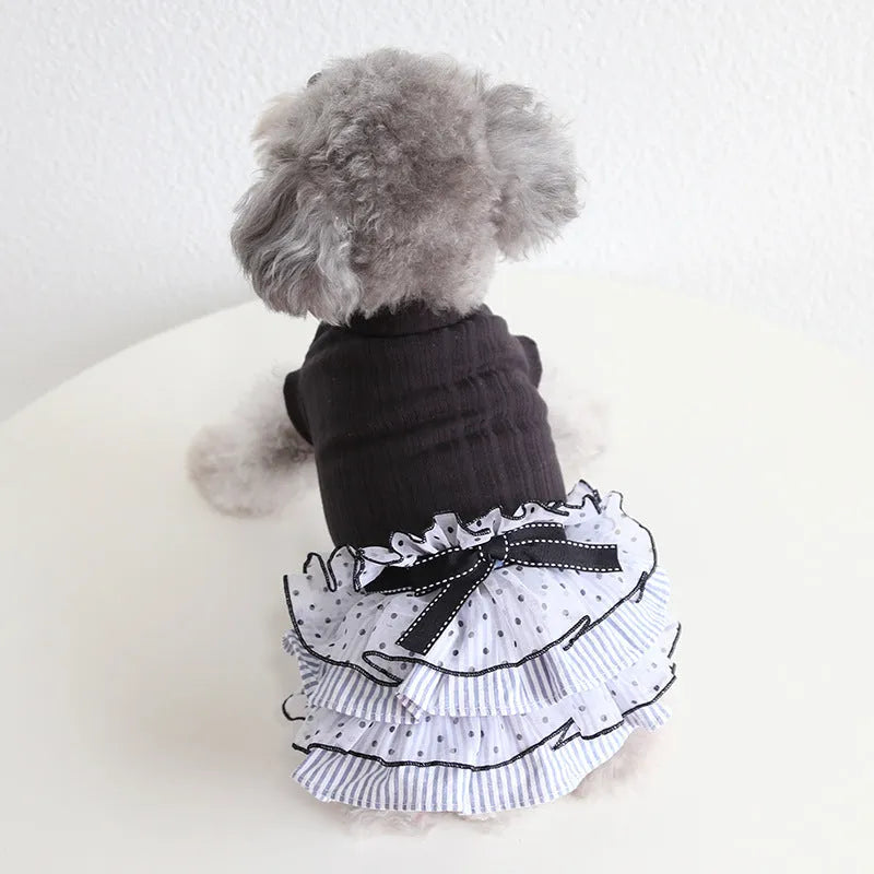 Polka dot and lace princess cake dress for a small dog or cat in taro purple, charcoal black, or iced coffee colour.