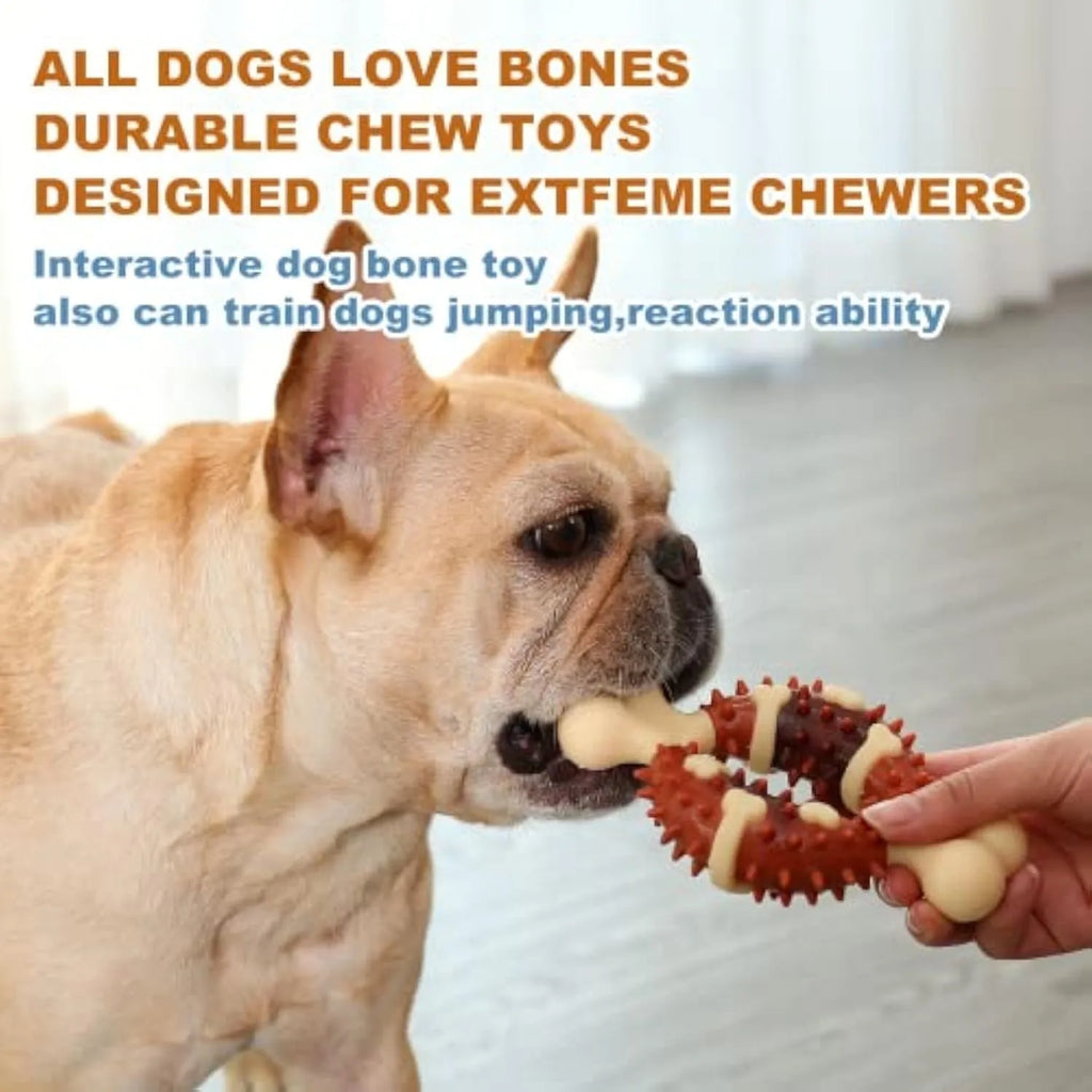 Natural rubber bone-shaped dog chew toy for dental health.
