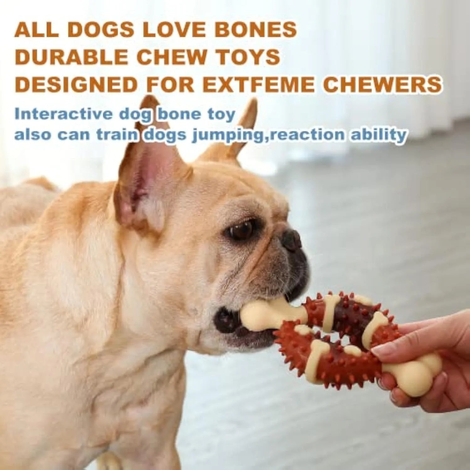 Natural rubber bone-shaped dog chew toy for dental health.