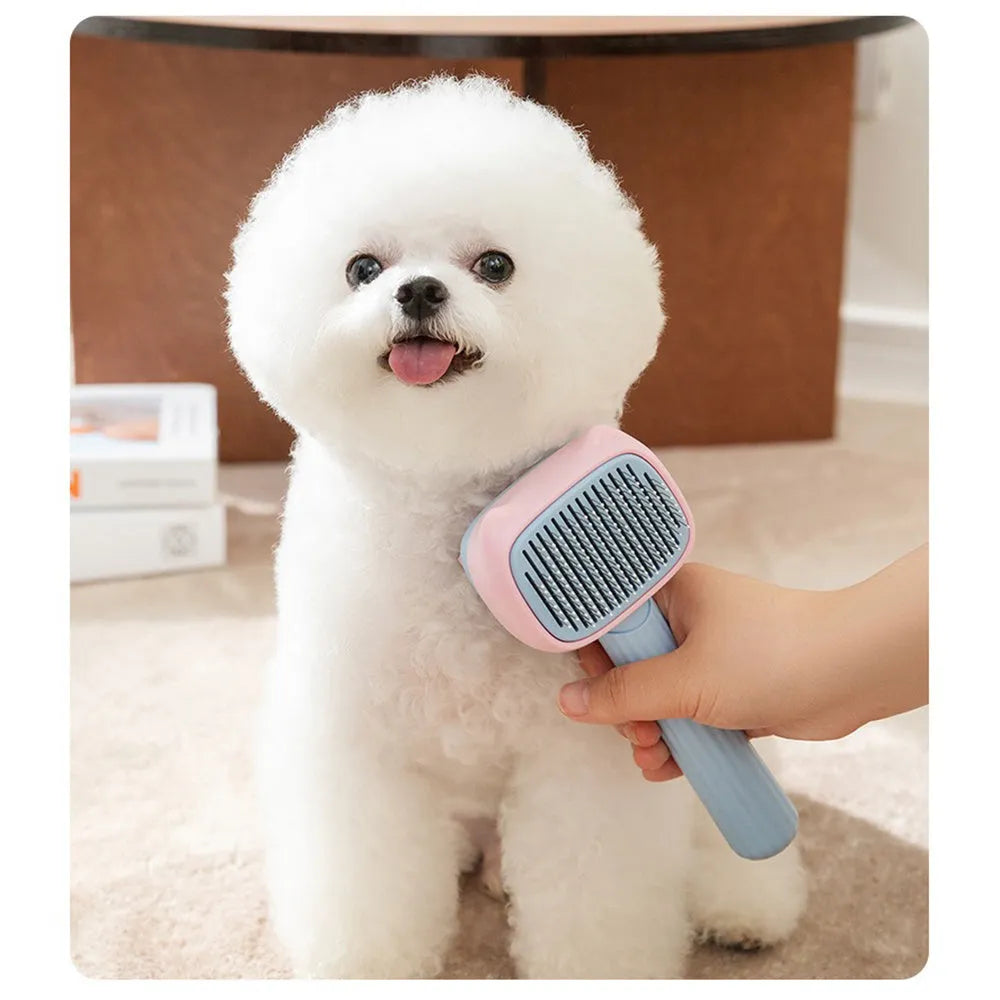 Blue and green double-sided pet grooming brush with deshedding rake and dematting comb