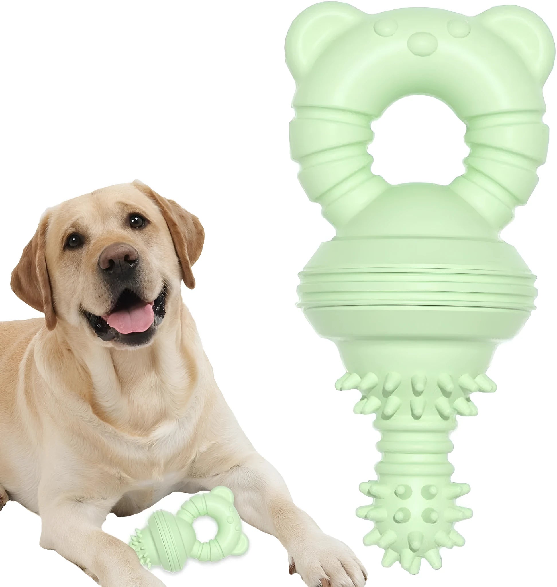 Blue molar-shaped rubber dog chew toy with textured surface for aggressive chewers