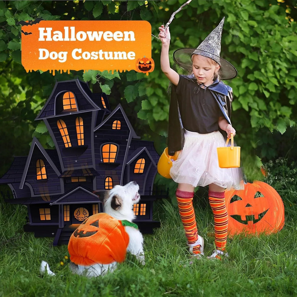 Orange plush pumpkin Halloween costume for small medium dogs and cats on mannequin