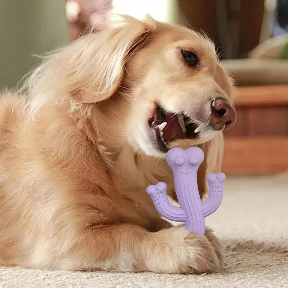 Cactus-shaped dog chew toy in bamboo fibre and rubber available in small and large sizes