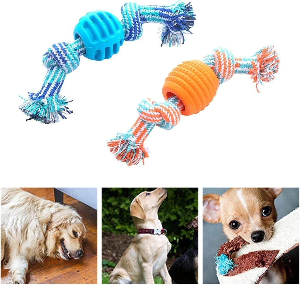 Blue silicone dog chew toy with woven cotton ropes in molar stick design