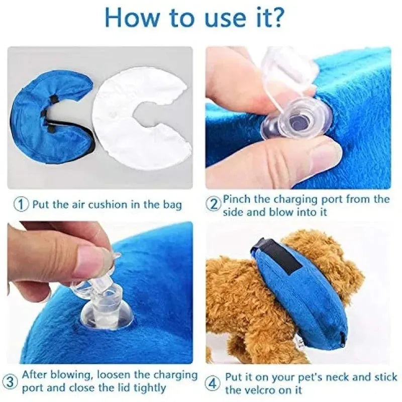 Blue inflatable soft recovery collar for a dog, shown as an alternative to a plastic cone.