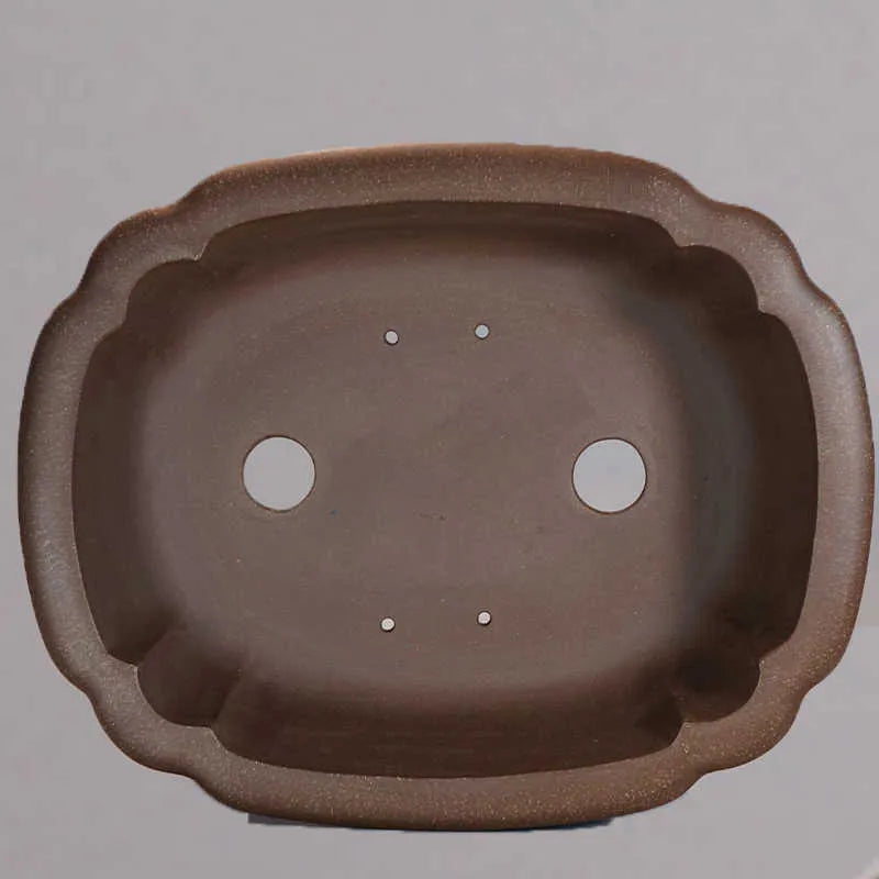 Purple sand rectangular begonia flower pot with antique finish on desktop