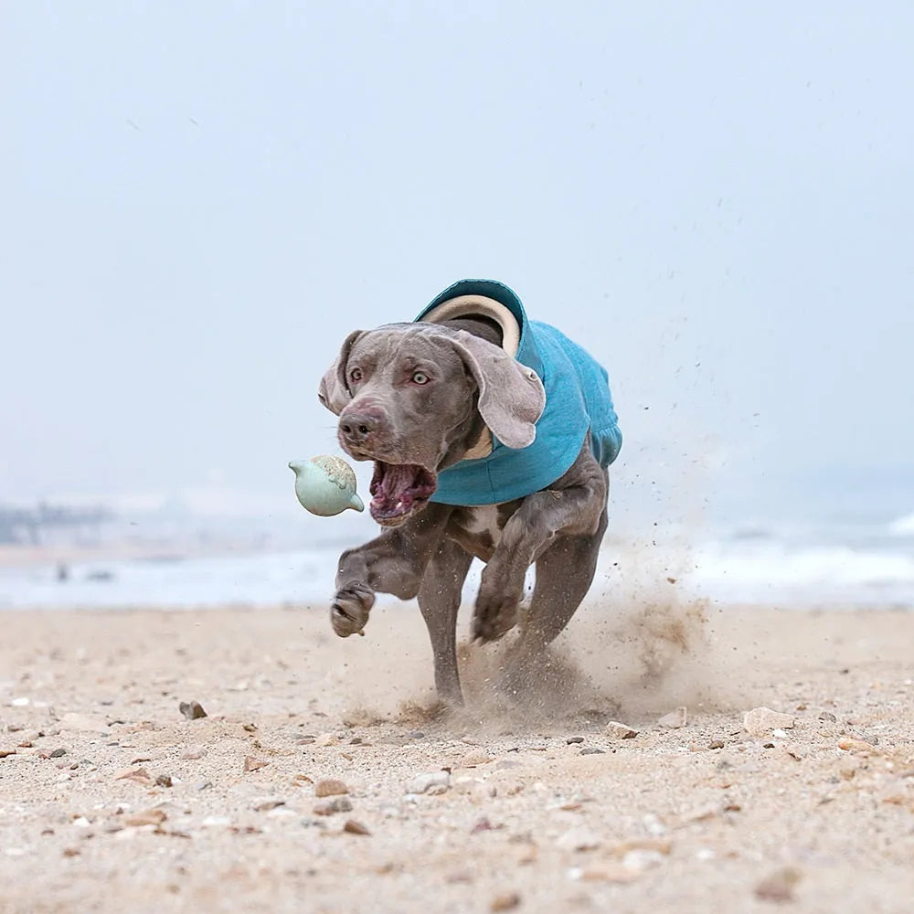 Polyester dog cold-proof vest in rose red, light blue, or grey for medium to large breed dogs