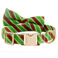 Striped engravable dog collar in candy green with matching bow accessory, showing adjustable buckle and sizing options