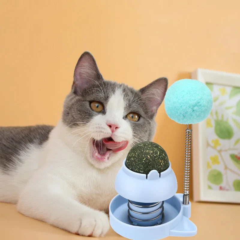 Blue self-moving cat toy with mint ball for teeth cleaning and hair removal, 55mm diameter.