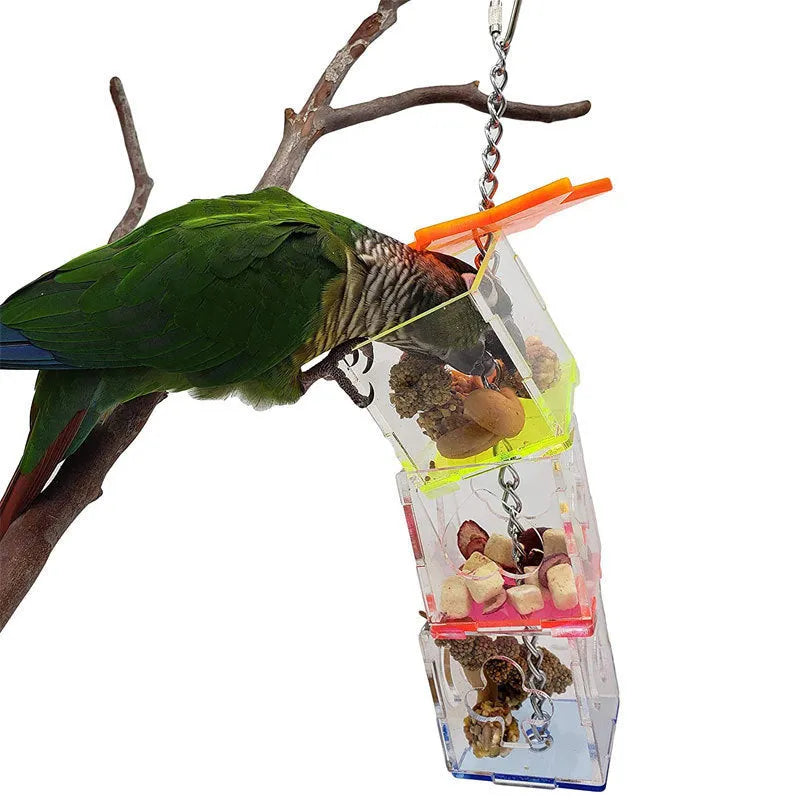 Clear acrylic bird foraging toy, tall rectangular shape for holding nuts and fruit.