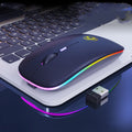Black or white dual-mode wireless silent mouse with rechargeable battery and charging cable.