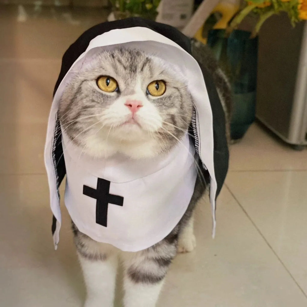Black and white nun costume cloak outfit on a small or medium dog for Halloween.