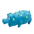 Pig-shaped latex dog chew toy with textured surface in assorted colours