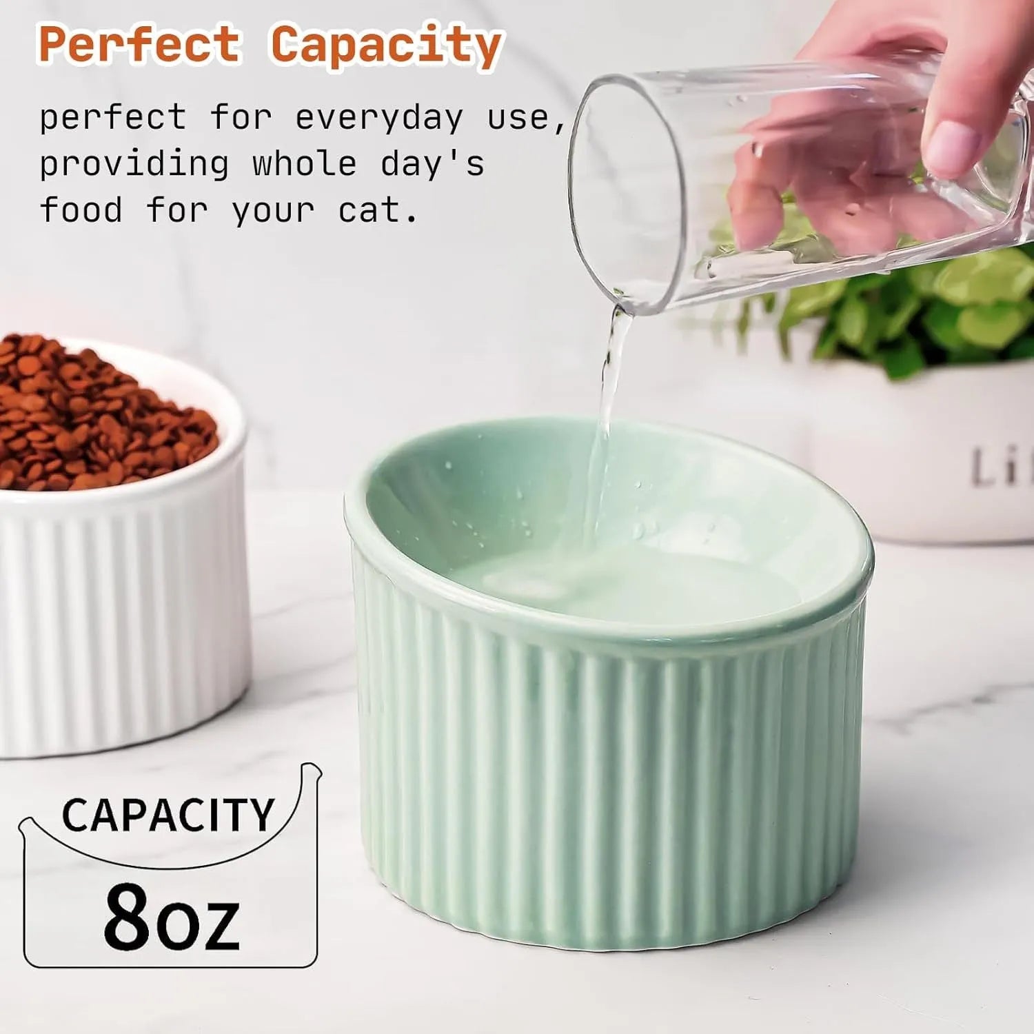 Elevated ceramic cat bowl in light green colour, showing tilted round design for whisker comfort.