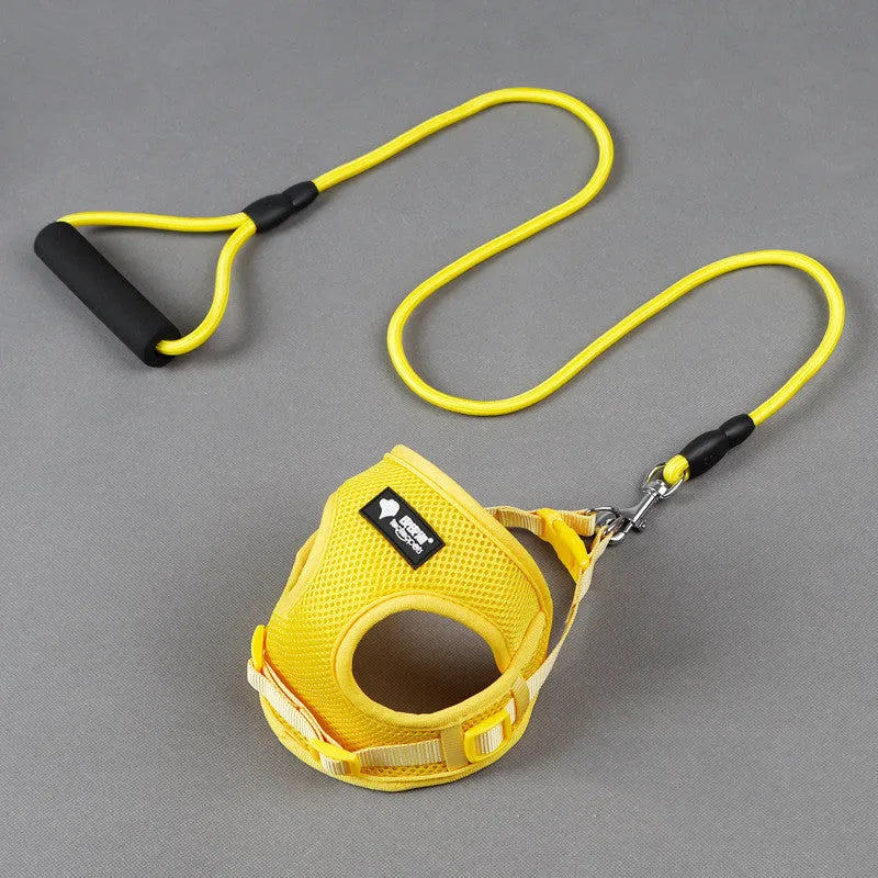A blue dog leash with a round rope and foam handle, suitable for small dogs.