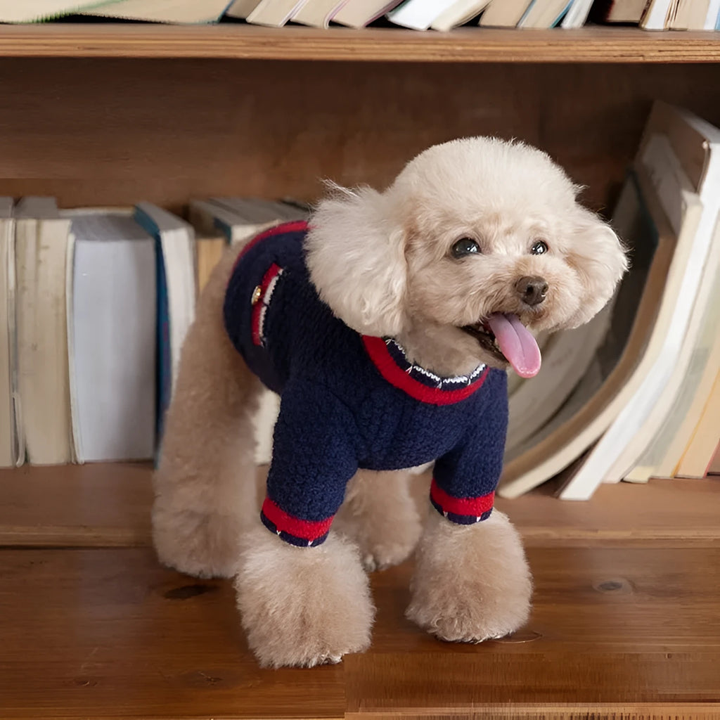 Blue Bejirog wool knit cardigan for a dog in a Princess style