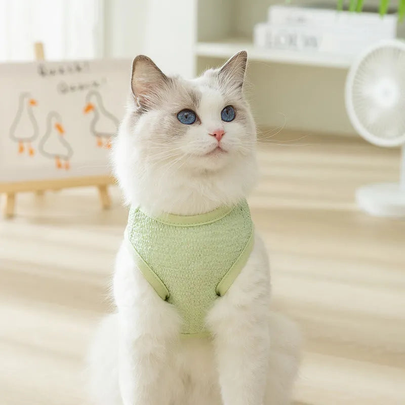 Breathable hollowed-out cat clothes with a cartoon bear patch in blue.