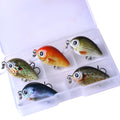 Mini crankbait fishing lures 2.7 cm 1.5 g with 3D holographic eyes and bright colours, 5-piece set in box