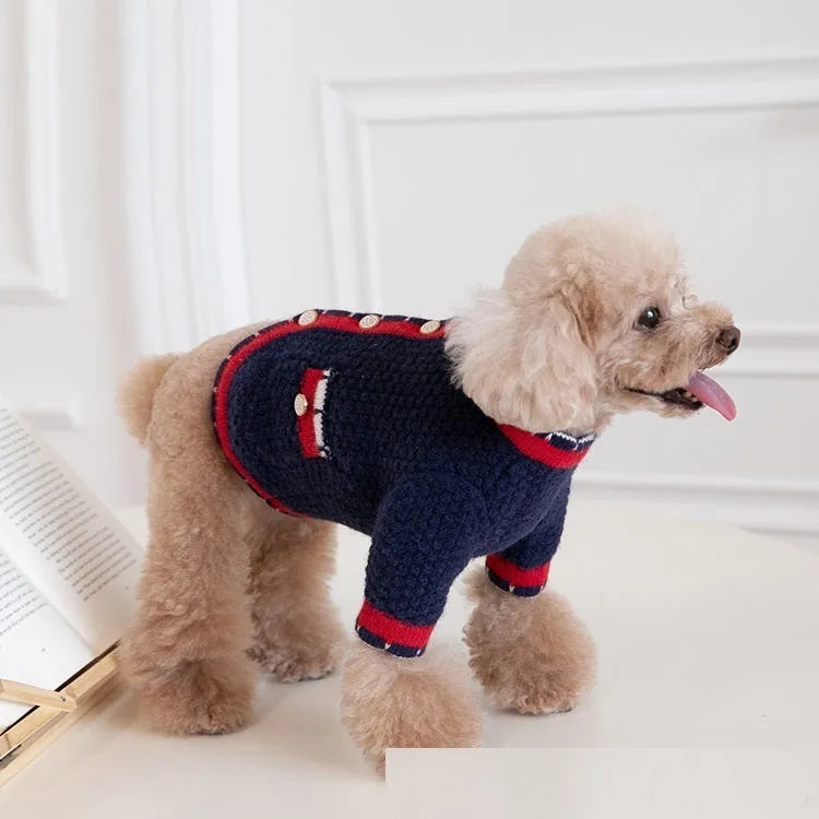Blue Bejirog wool knit cardigan for a dog in a Princess style