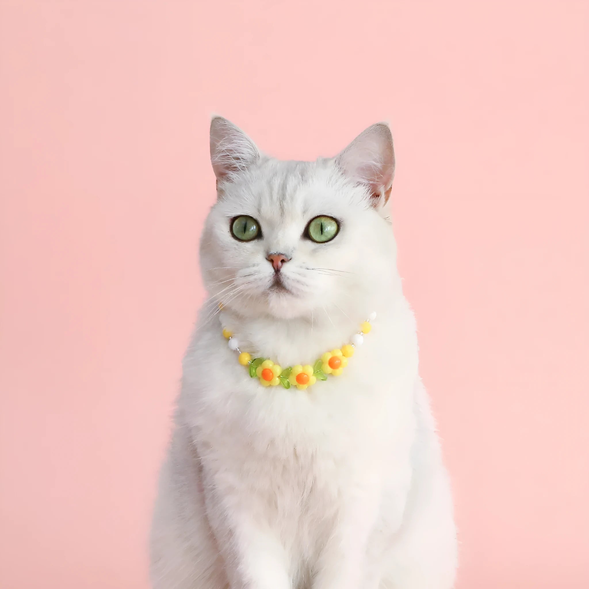 Colourful plastic bead cat necklace in small flower, rainbow or peach designs with adjustable sizing