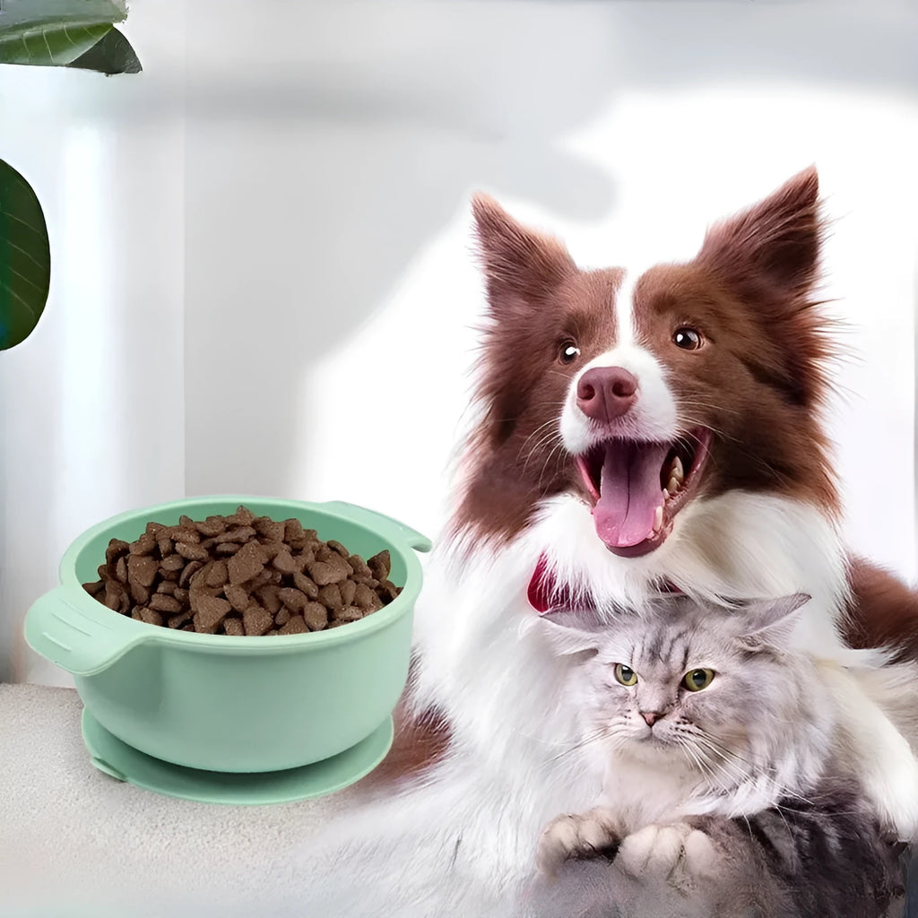 Silicone pet bowl with suction cups on a floor, shown in blue colour.