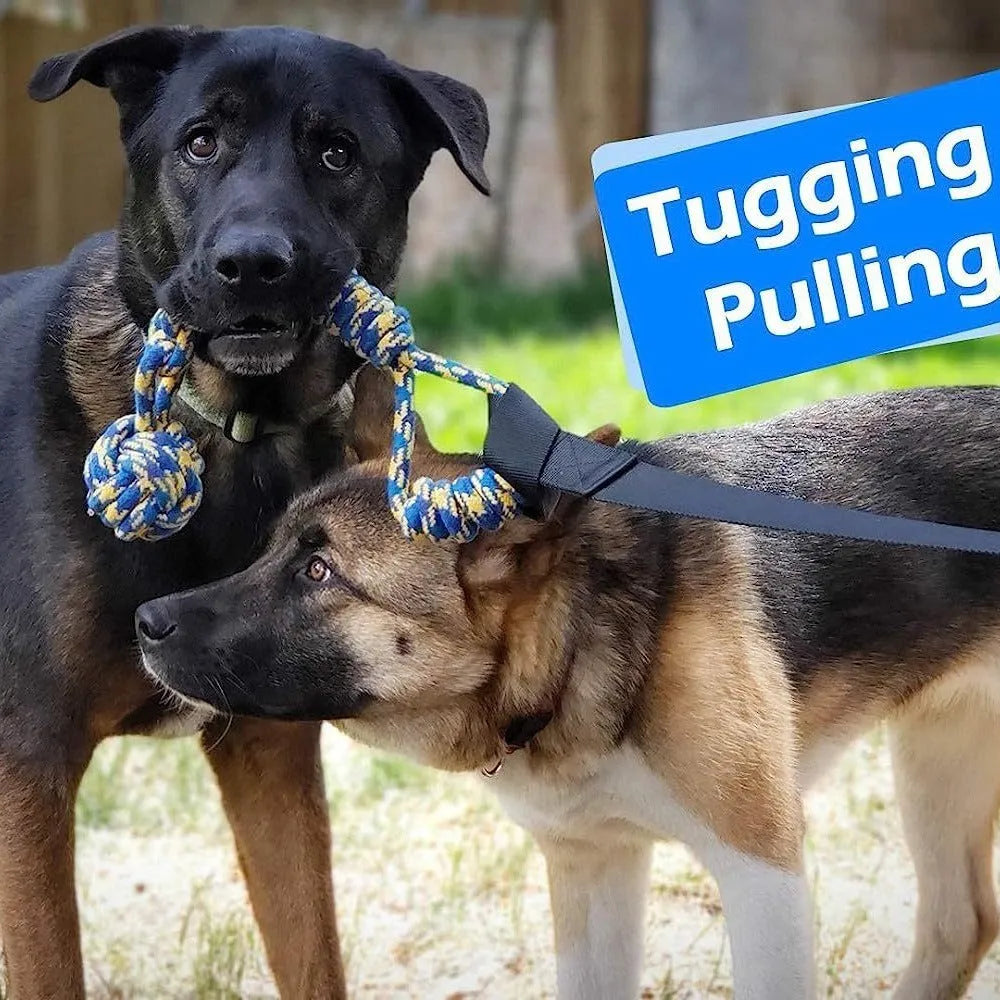 Green cotton dog tug rope toy with a ball design for bite and pull play.