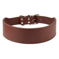 Large dog leather collar with fish-shaped buckle in assorted colours on a white background.