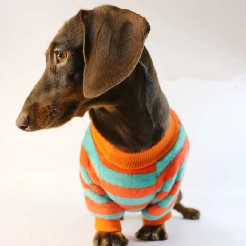 Striped casual sweatshirt for a dog or cat with a round neck, shown in orange-red and white stripes.