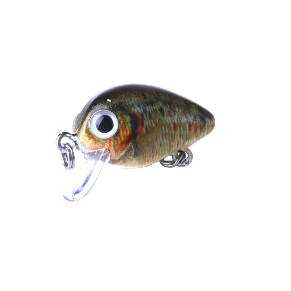 Mini crankbait fishing lures 2.7 cm 1.5 g with 3D holographic eyes and bright colours, 5-piece set in box