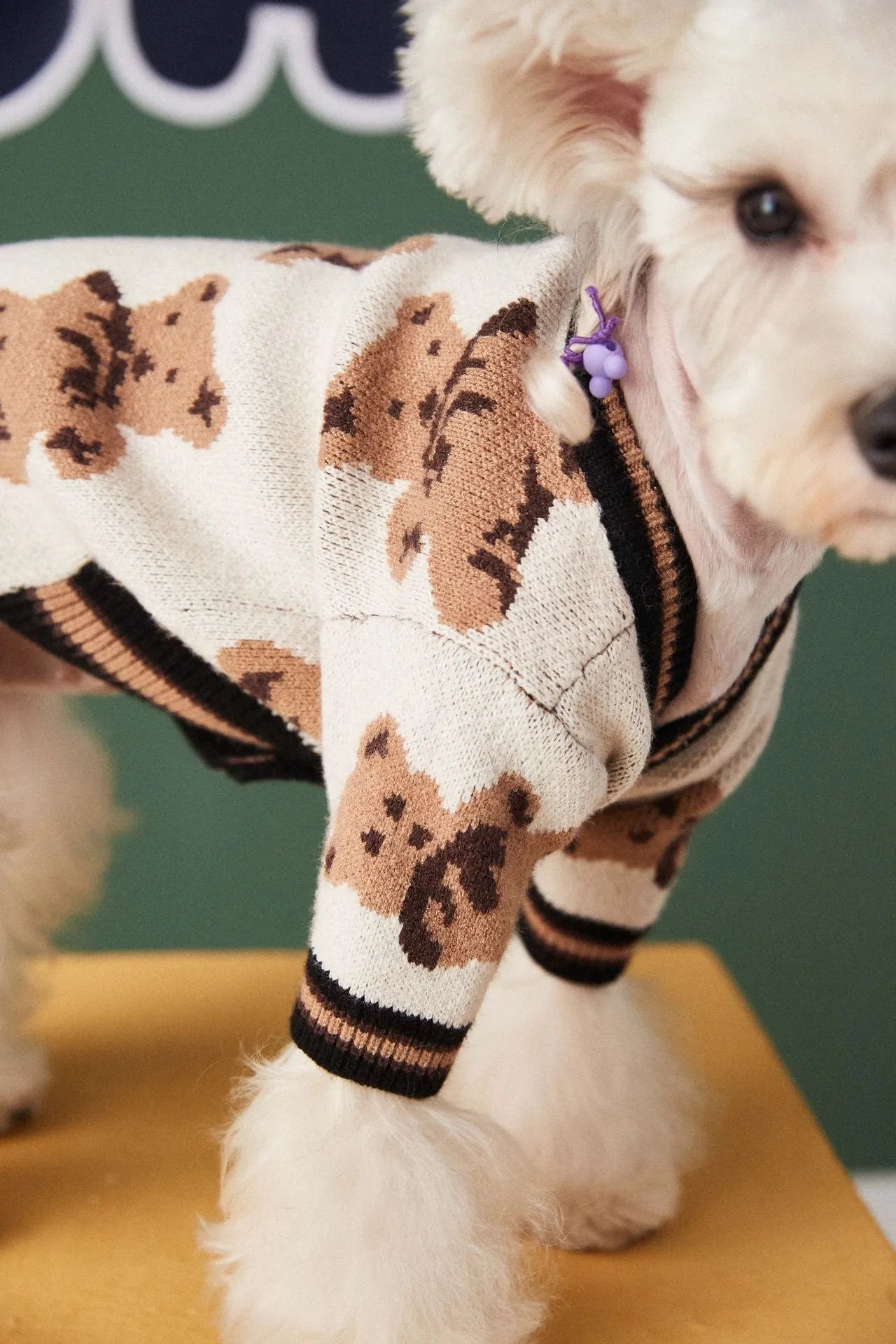 Preppy style wool striped pet sweater for dogs cats in beige colour with V-neck and leash hole on back