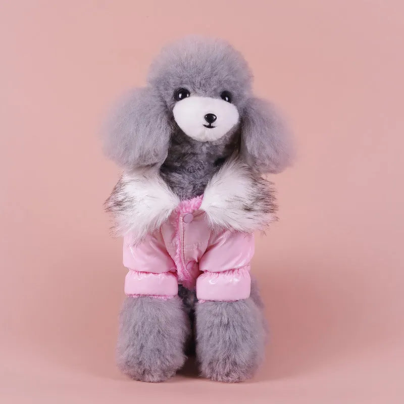 Blue British-style cotton puppy jacket for winter warmth on small dog