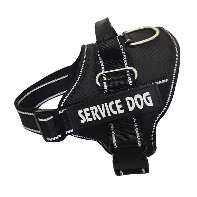 Oxford cloth dog chest strap harness with reflective ribbon and alloy buckle, blue colour, on white background