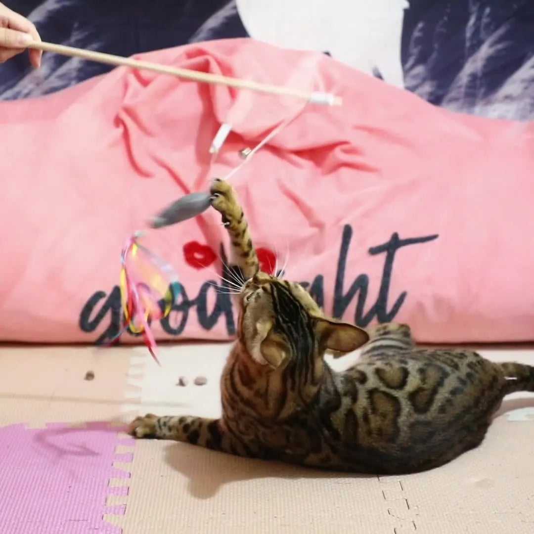 Colourful cat wand toy with ribbons, bell, and catnip fish on a wooden handle