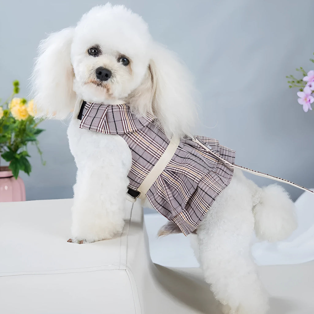 Chest strap pet vest with hand holding rope in milky white or purple skirt style