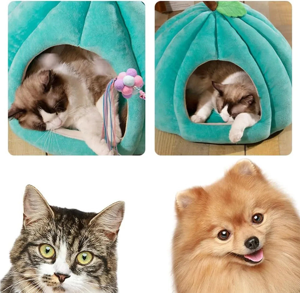 Grey pumpkin-shaped semi-enclosed cat cave bed with a round entry hole on a wooden floor.