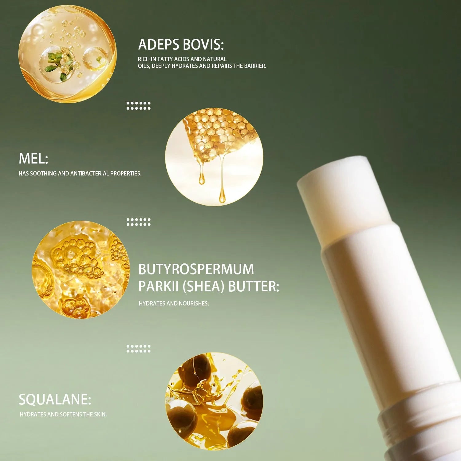 Tallow lip balm stick in a case measuring 83mm tall with product code FP B021
