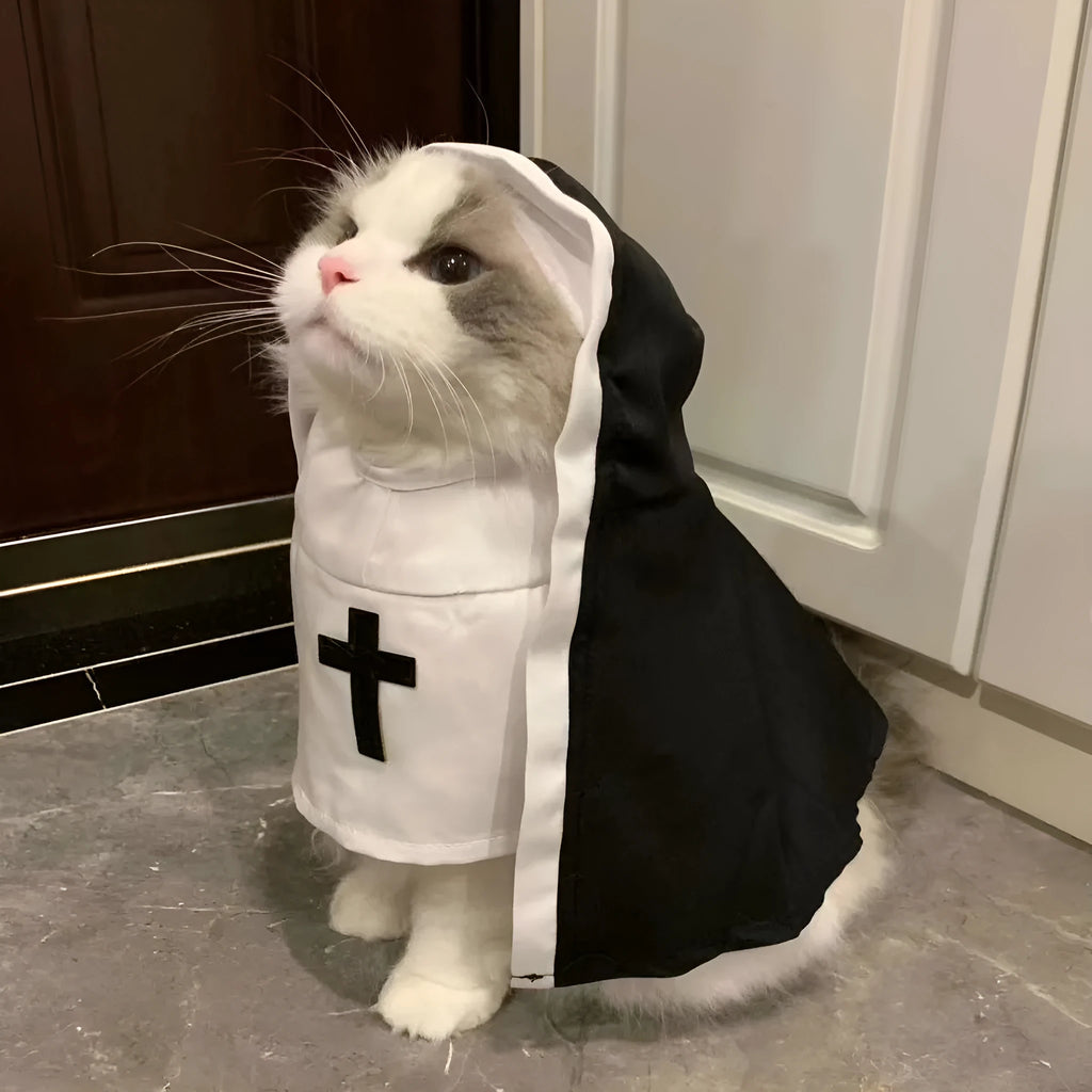 Black and white nun costume cloak outfit on a small or medium dog for Halloween.
