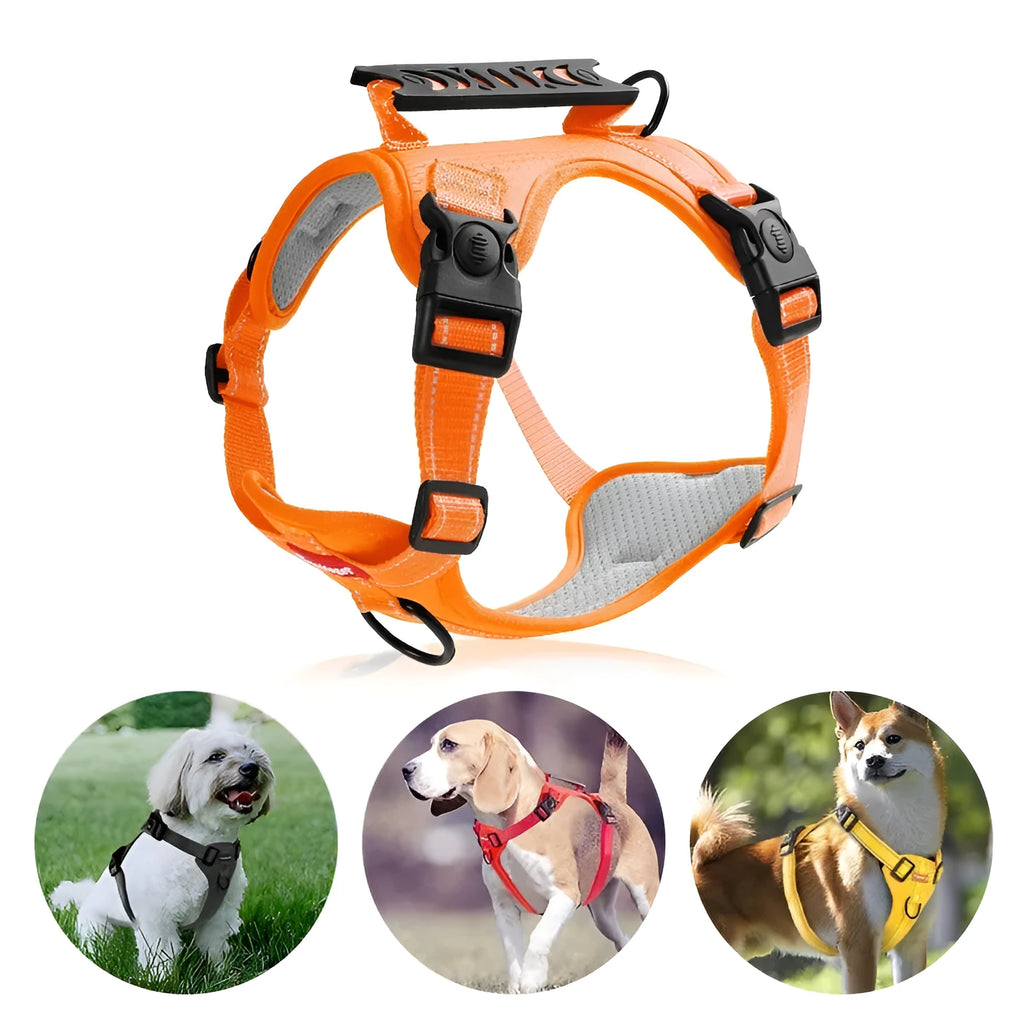 Polyester dog chest harness and lead set shown in multiple colours including lake blue, on a size chart from XS to XL.