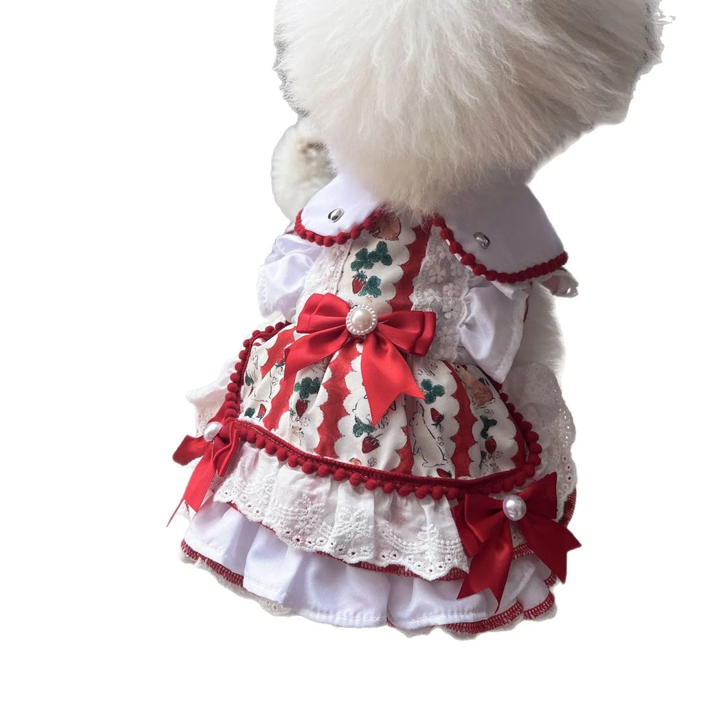Small dog wearing a rabbit skirt coloured princess-style dress.