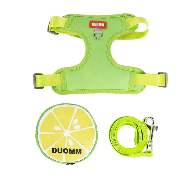 Green anti-slip pet harness and backpack set for a small dog on a pink background
