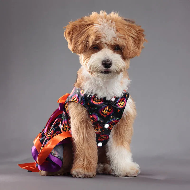 Colourful Halloween dog skirt with pumpkin print, double-layer polyester.