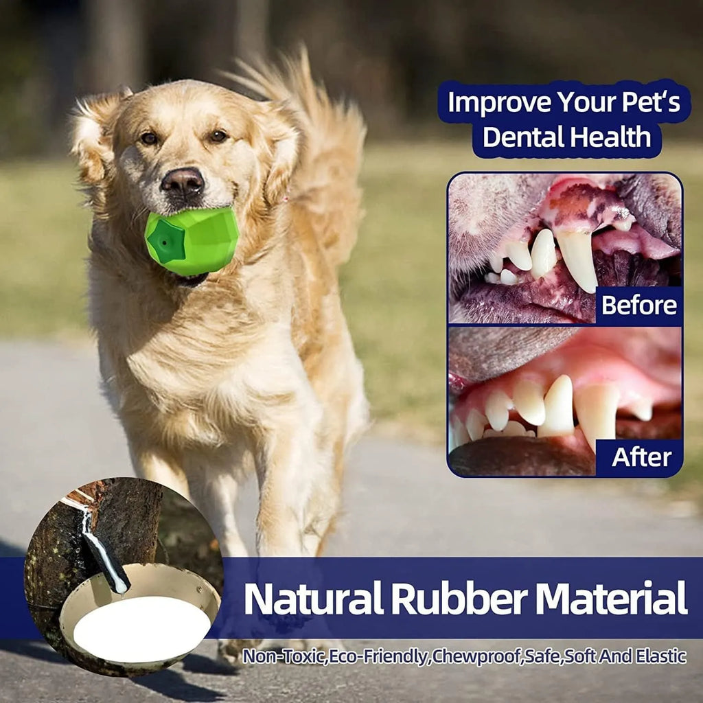 Green natural rubber dog chew toy with squeaker for large breed aggressive chewers.