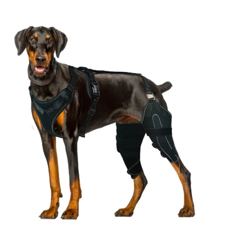 Black dog thigh protective sleeve with adjustable metal support for postoperative leg recovery