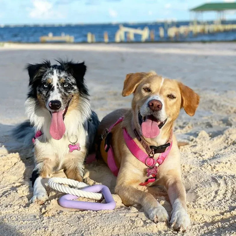 Large triangular cotton rope pull ring pet toy with a long leash in beige, pink, or purple colour options.